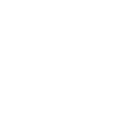 Flysurfer